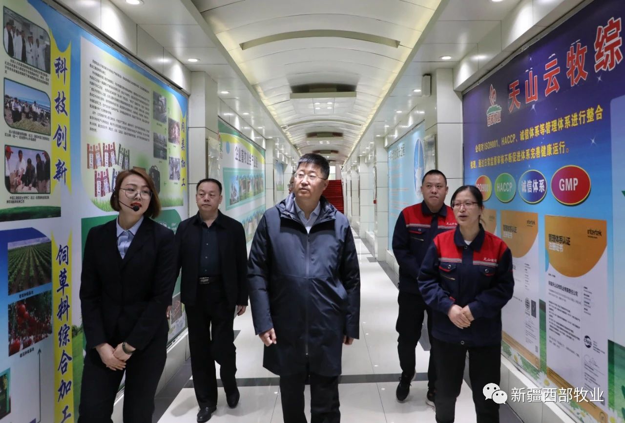 八師石河子市黨委常委、八師副師長趙日強到天山云牧公司調研